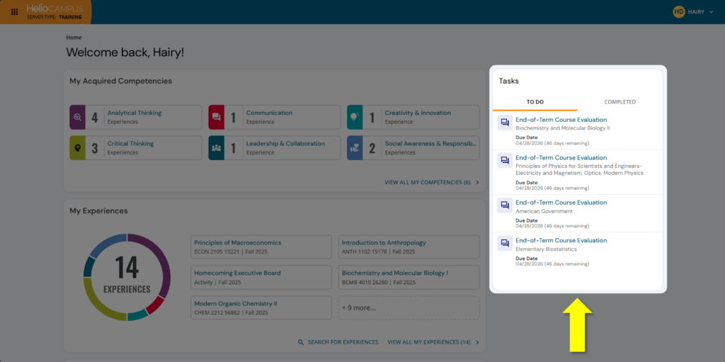 Visual of tasks widget